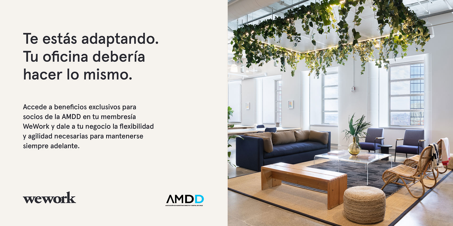 WeWork y AMDD