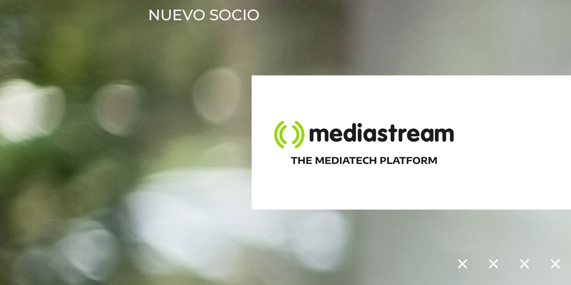 Mediastream, el nuevo socio de la AMDD